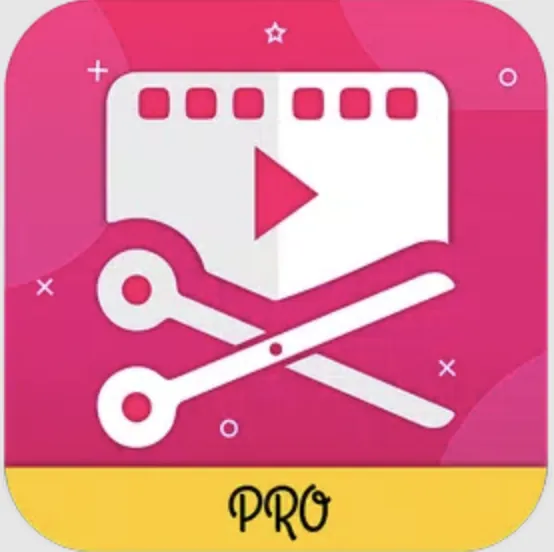 Real Video Editor product mark