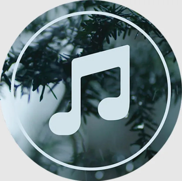 Soul Tune product mark